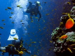 Scuba Diving Charter in  Boyton Beach
