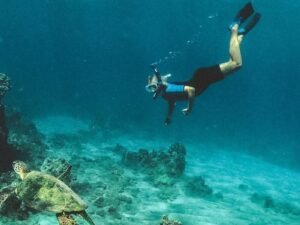 Scuba Diving Charter in  Boyton Beach