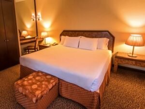 SINGLE ROOM SHERATON DAMASCUS