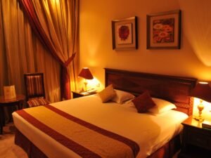 STANDARD ROOM RIGA PALACE