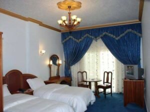 SINGLE ROOM LYON PALACE